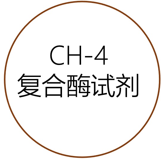 CH-4復(fù)合酶制劑